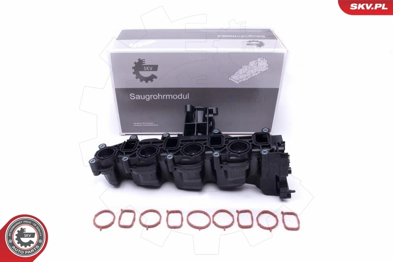 Intake Manifold Module